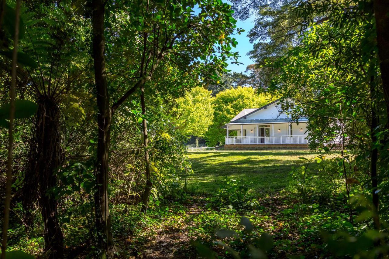 The Forest House Pirinoa ภายนอก รูปภาพ