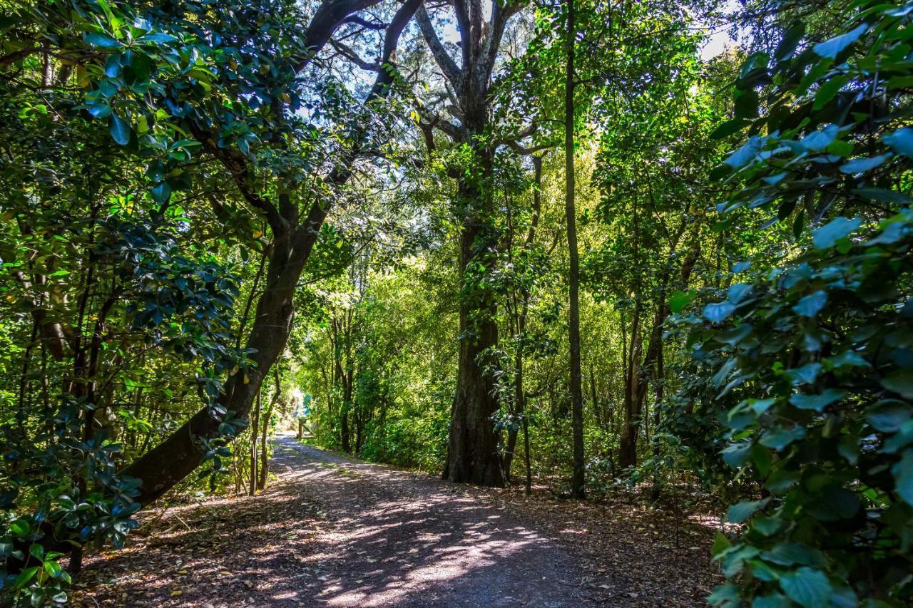 The Forest House Pirinoa ภายนอก รูปภาพ